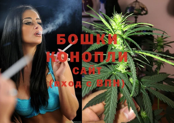 Альфа ПВП Пестово