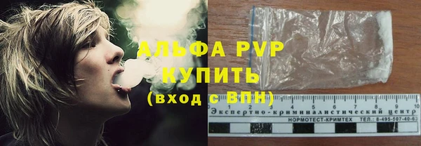 бошки Белокуриха