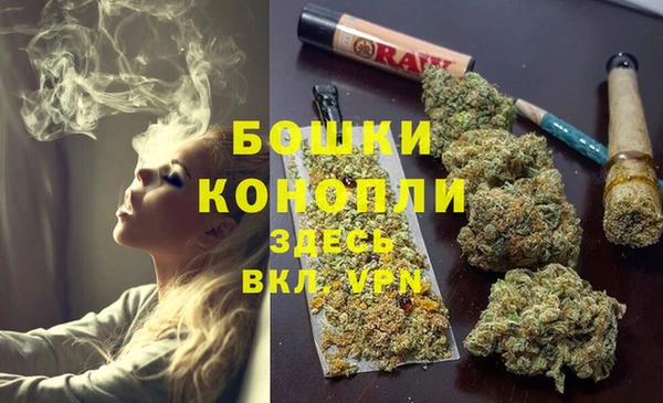 бошки Белокуриха