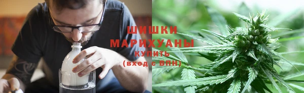 бошки Белокуриха