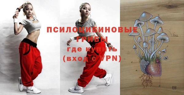 бошки Белокуриха