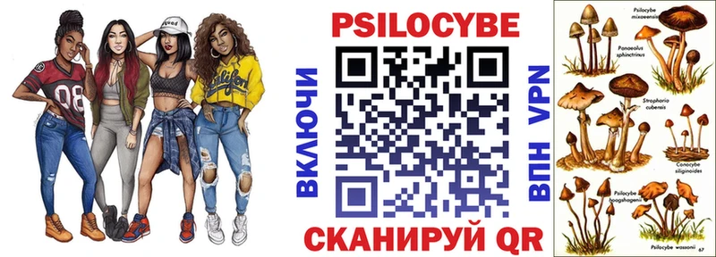 Галлюциногенные грибы мицелий  Звенигород 